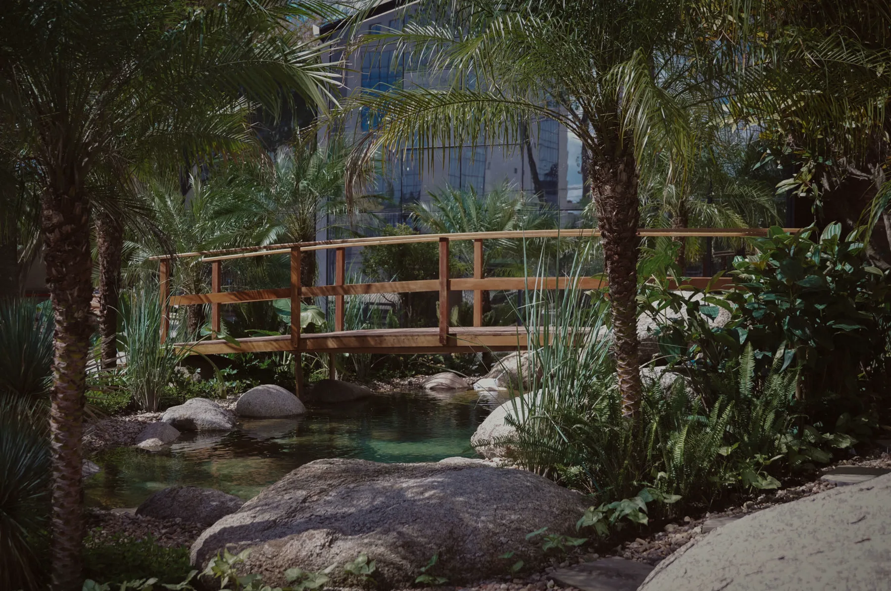 Jardim com palmeiras, lago e ponte de madeira